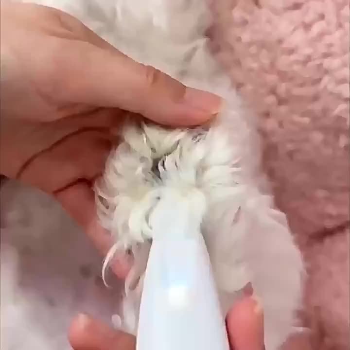 Aparador Elétrico Silencioso para Pelo de Pet