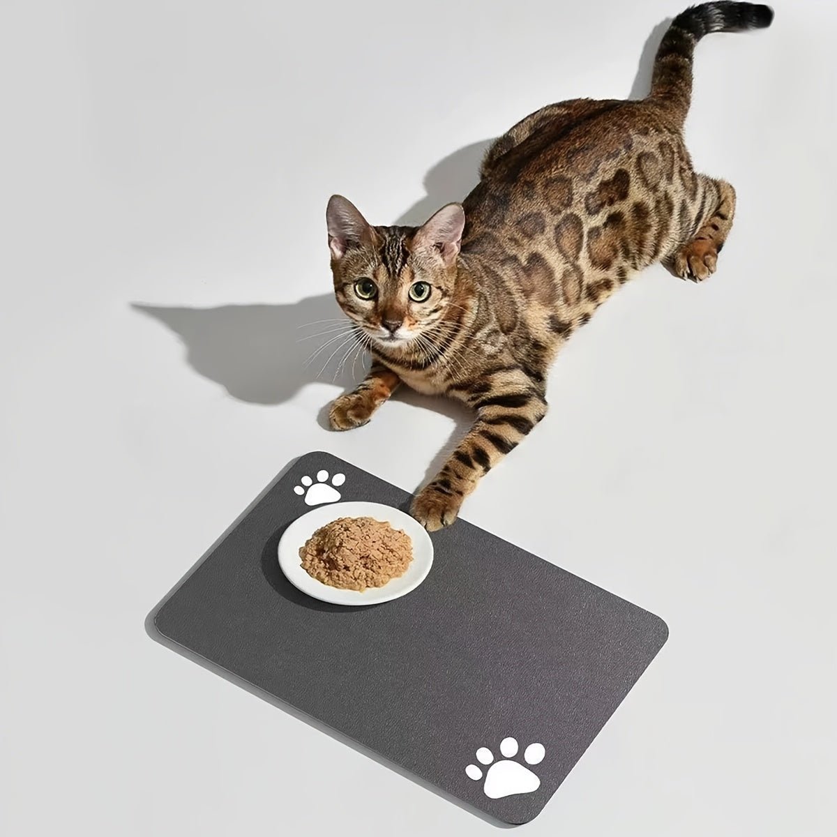 Tapete Comedouro Inteligente para Pets