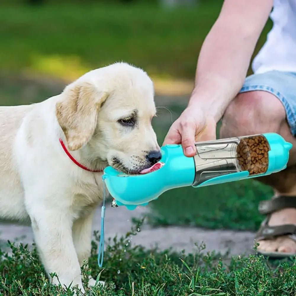Bebedor Portátil com Dispenser embutido