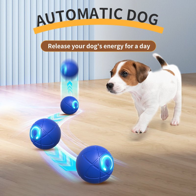 Bola de brinquedo para cães Smart Motion – movimento automático, recarregável via USB e divertida para raças pequenas!