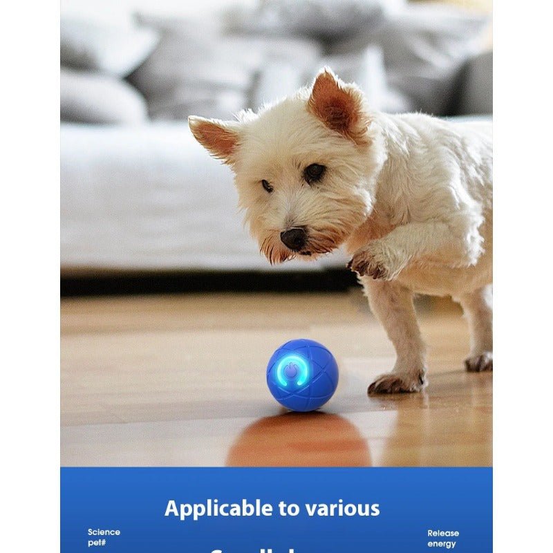 Bolinha Inteligente Automática para Cachorros
