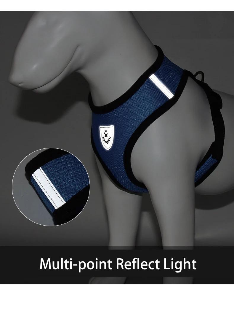 Coleira para cães forte e segura