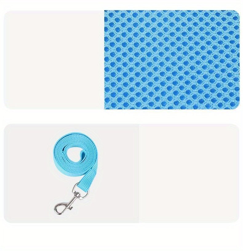 Coleira para cães forte e segura