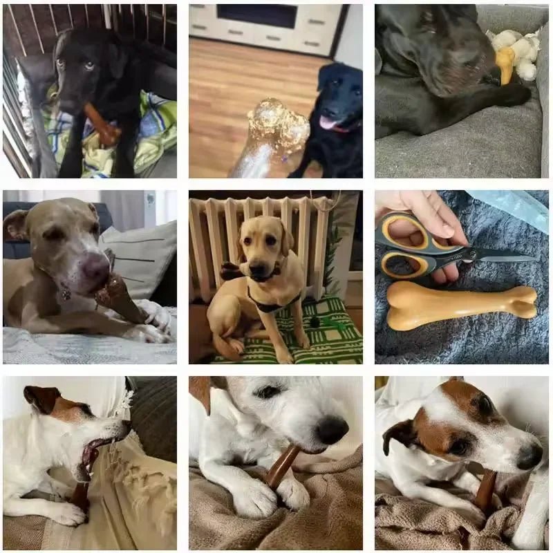 Osso Mastigável Super Resistente para Cães – Limpeza Dental, Natural e Quase Indestrutível