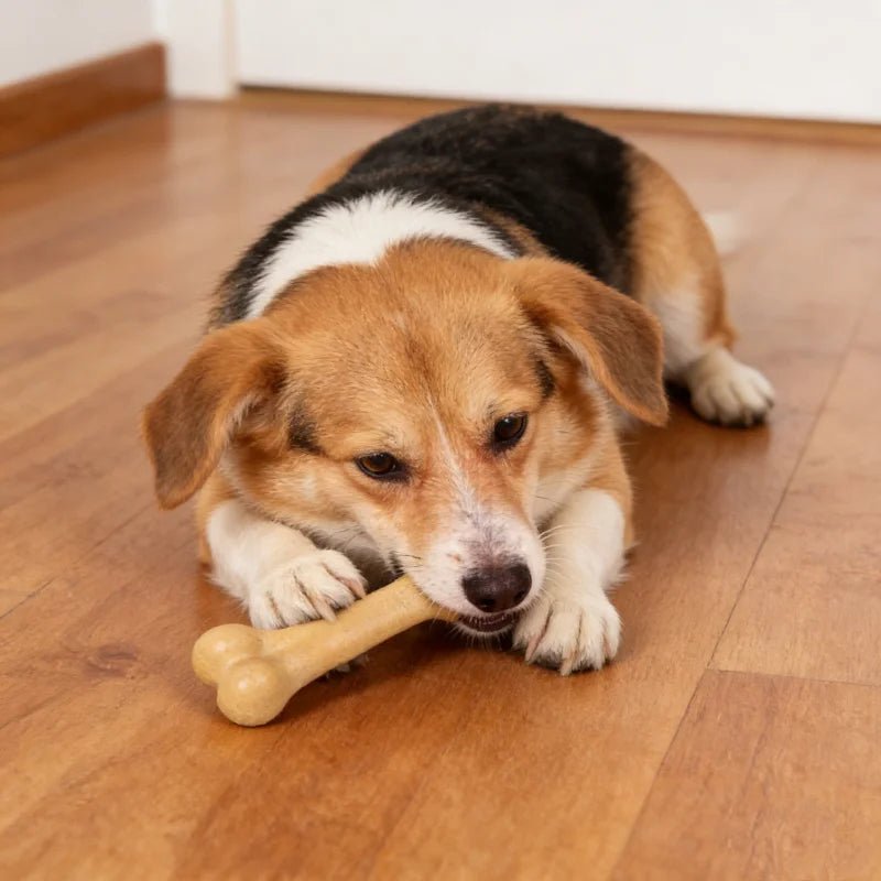 Osso Mastigável Super Resistente para Cães – Limpa os Dentes, Natural, Atóxico e Quase Indestrutível