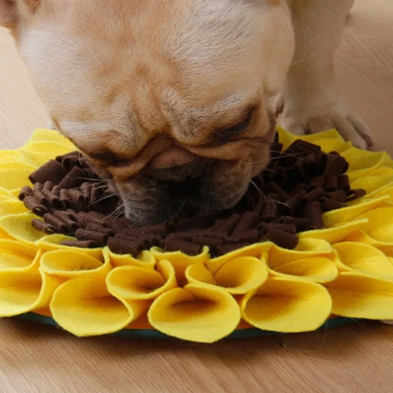 Tapete de Farejamento para Cães – Alimentação Lenta, Estímulo Mental e Redução de Ansiedade | 38cm