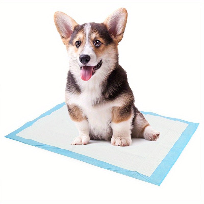 Tapete Higiênico Premium Ultra Absorvente para Pets – Antiodor e Extra Grosso
