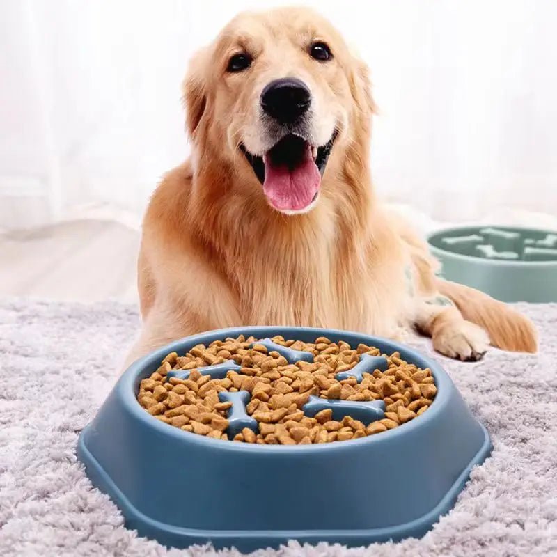 Tigela de alimentação lenta para cães, anti-engasgo e anti-derrapante!
