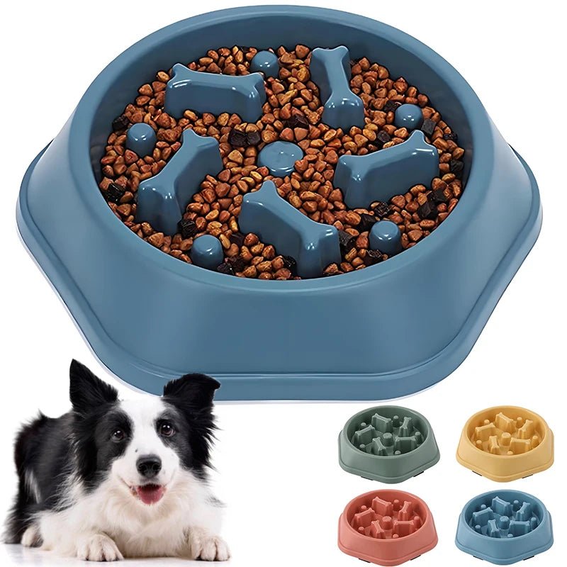 Transforme a hora da refeição do seu cachorro em um momento saudável e divertido! 🐾