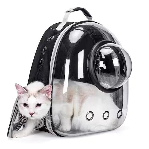 Carry your furry companion in style and comfort