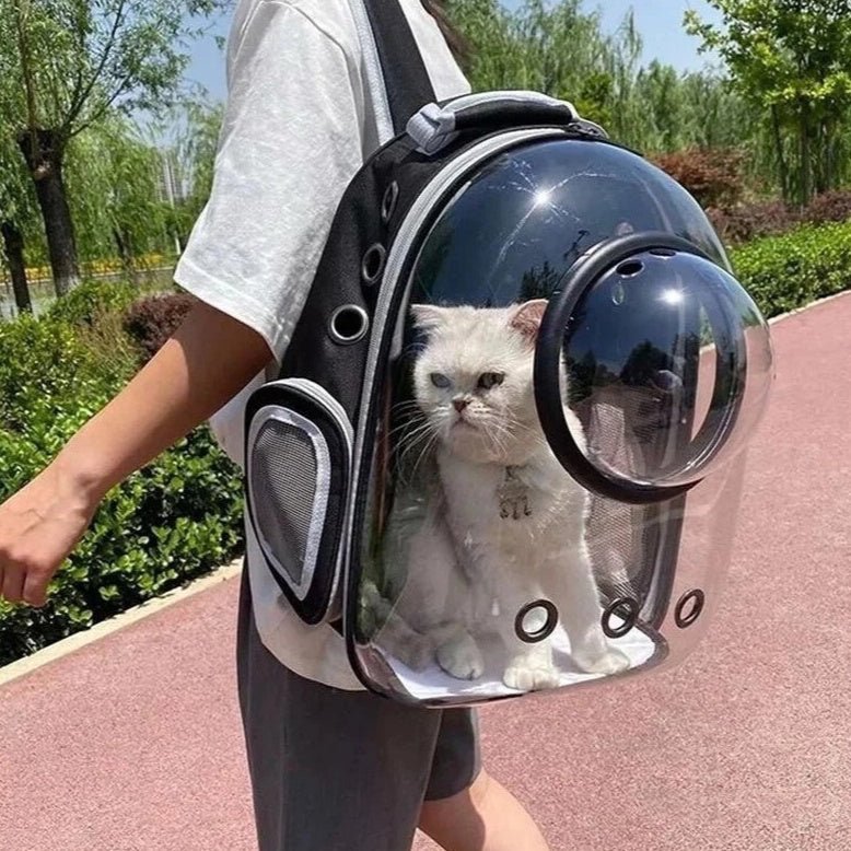 Carry your furry companion in style and comfort