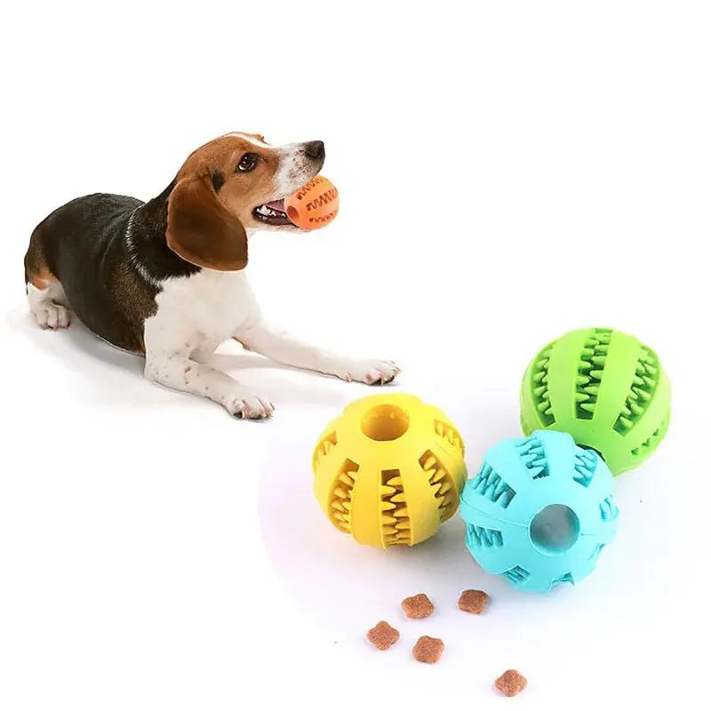 Bola de brinquedo para cães, recompense cada brincadeira com um petico suculento