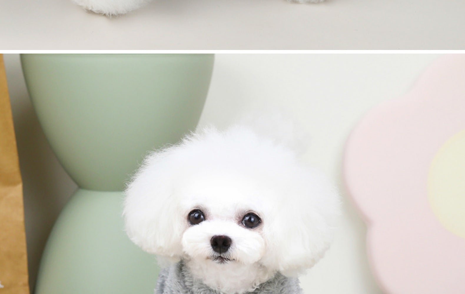 Suéter de lã para petz – macio, quente e pronto para coleira para cães e gatos pequenos